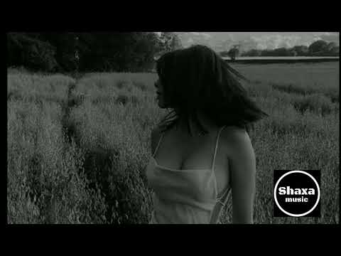 maka x antonio demonio - devuélveme mi vida [video lyrics]