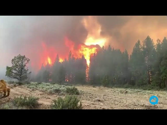 youtube video id=0r9QGRcJVTw