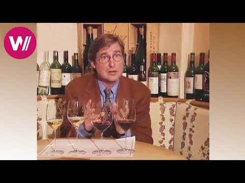 Become a wine expert in 10 minutes - crash course with wine expert Jens Priewe