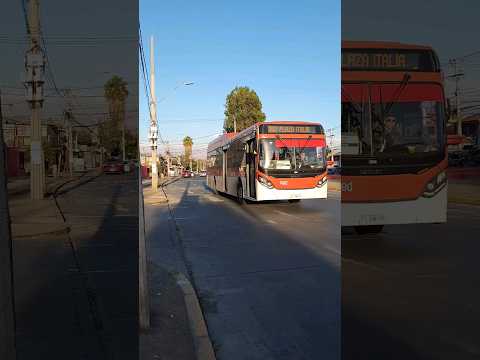Transporte de Santiago|Caio Mondego II|Mercedes Benz O-500U|307 Plaza Italia-Quilicura|Buses Vule