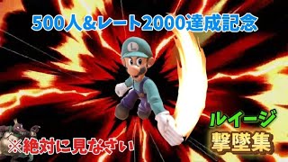 【スマブラSP】500人&レート2000達成記念！ルイージ撃墜集！