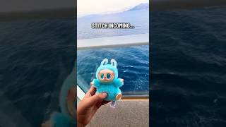 Is this illegal? #carnival #cruise