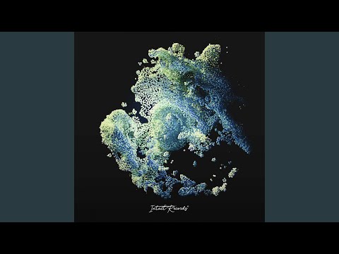 All I Need (FLAK Remix)