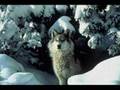 Emancipator - First Snow 
