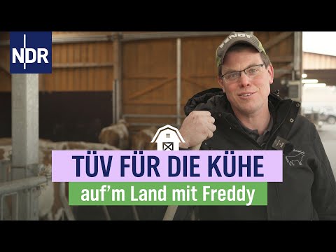 Zwischen Tierwohl und Rinderbraten: die Wirklichkeit auf einem Hof | Folge 4 | NDR auf'm Land