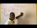 Cell Biology Cell Structure And Cell Function High School