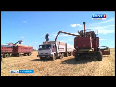 Вести «Калмыкия»: вечерний выпуск 12.07.2017