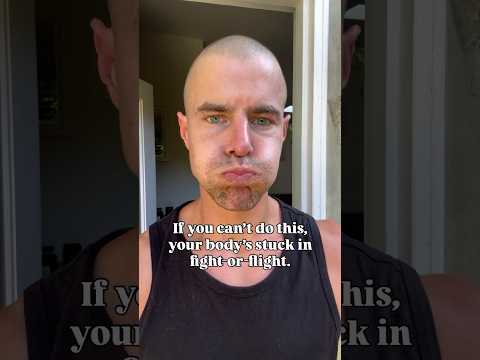 How to get out of fight or flight