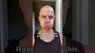 How to get out of fight or flight