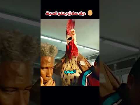 A Giant Rooster Rules the City&hellip; and the Penalty for Eating Eggs Is Death! #Shfa #Stories #RealSto...