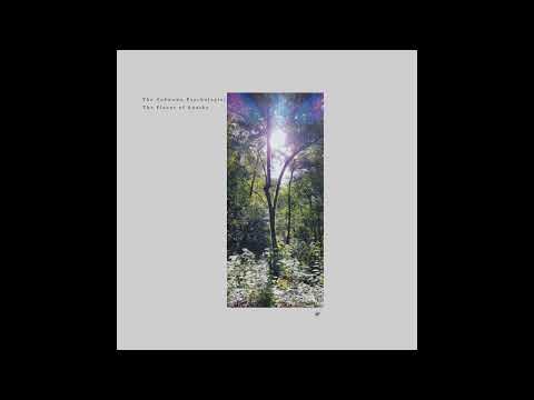 Indefinite Pitch PREMIERES. The Unknown Psychologist - Shadow Cone [KVLTÖ Records]