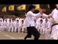Bruce Lee Vs Hoara