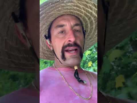 The Original MTV Generation