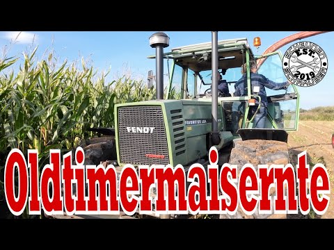 Oldtimer Maishäckseln an der Nordsee!🌽🚜