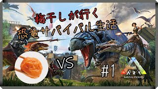 低音アラサー女歌い手のARK生活　＃1