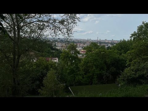 Charity Family Day : TAYANNA, Олена Тополя, гурт MOLODI, MICHELLE ANDRADE та YAKTAK