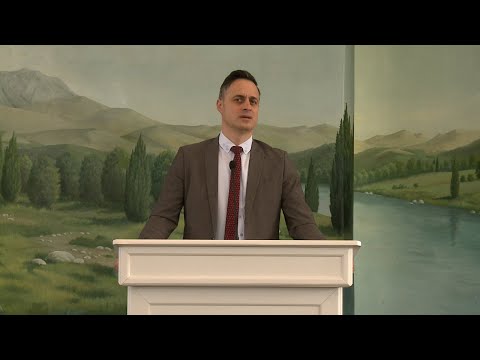 LUCIAN BIRDA  23 Aprilie 2023 Duminică dimineața