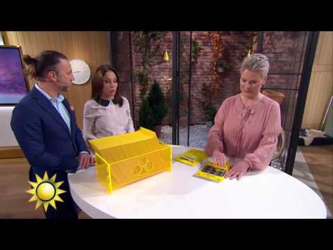 Se Tildes överraskning till dagens trisskrapare - Nyhetsmorgon (TV4)