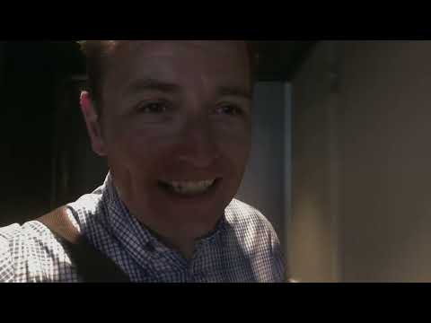 The Secret Life Of The Cruise