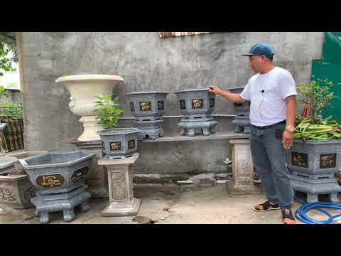 Tết Tài Lộc - Bộ Khuôn chậu cảnh lục giác 45