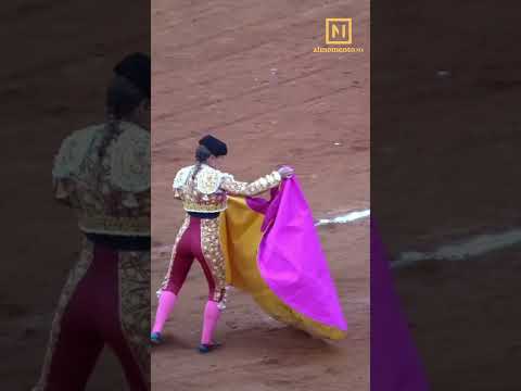 ¿Qué sigue luego de la aprobación de las corridas de toros sin violencia en la CDMX?