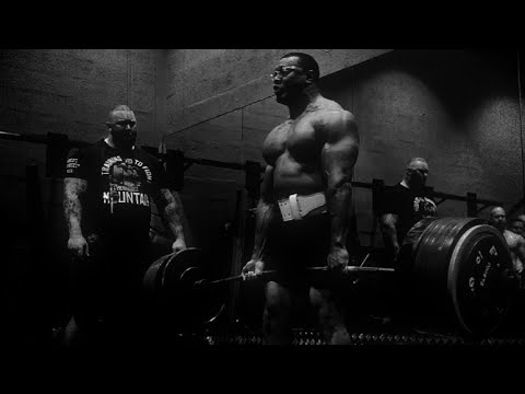 Animal I Have Become