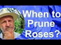 When Do You Prune or Cut Back Your Roses?