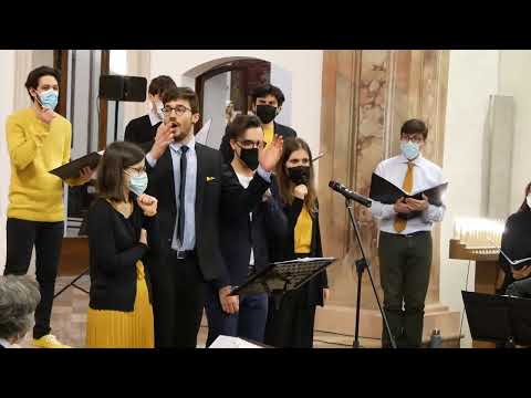 Kumbaya, CoRo*mania - REPLICA LASTE 13/03/2022