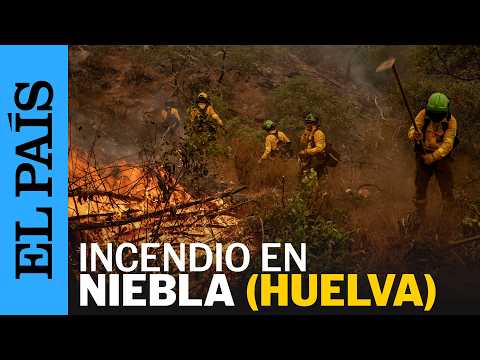 El INCENDIO de NIEBLA (HUELVA) continúa activo con 8.000 ha recorridas | EL PAÍS
