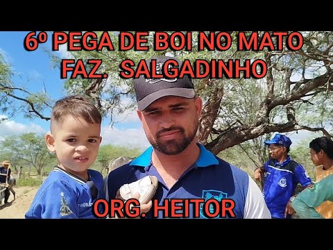 ( DRONE ) 6⁰ PEGA DE BOI NO MATO ORG.HEITOR FAZENDA SALGADINHO TACARATU.PERNAMBUCO