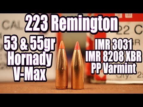 .223 ENOUGH FOR DEER?! 223 Remington Hornady American Whitetail 60gr Ammo Test