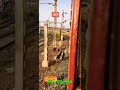 Tamilnadu ️ Karnataka Train Journey