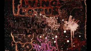 Flying Lotus - Tea Leaf Dancers (Remix)