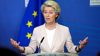 Watch: What's the European Commission and what does it do?
