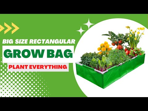 Optimal Grow Bag Sizes for Vegetables, Herbs, and Fruits - Organicbazar Blog