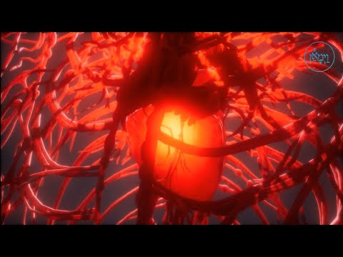 It All Starts with the Heart | Rabbi Moshe Malka