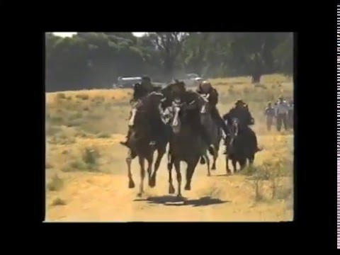 download lagu mp3 mp4 Cattlemans Cup, download lagu Cattlemans Cup gratis, unduh video klip Cattlemans Cup