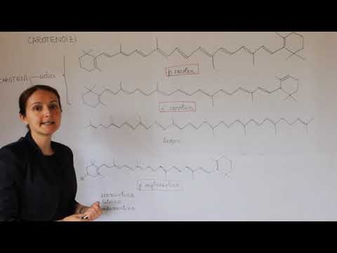 Carotenoizi - generalitati