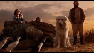 Trailer Preview Image