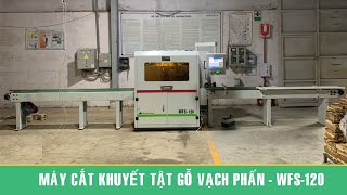 Máy cắt vạch phấn tự động WFS-120
