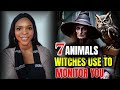 7 ANIMALS WITCHES USE TO MONITOR YOU (N0 7 Will SHOCK You)