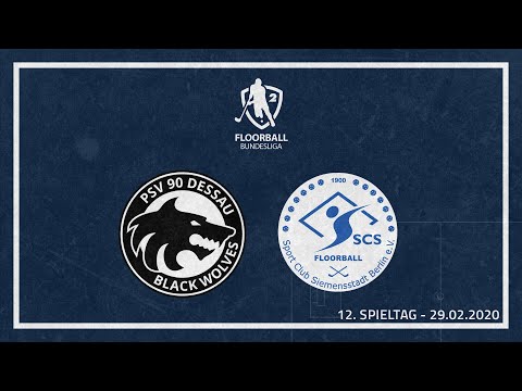 2. FBL 2019/20 | 12. Spieltag: PSV 90 Dessau - SCS Berlin