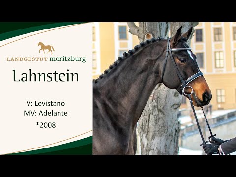 LAHNSTEIN v. Levistano - Adelante