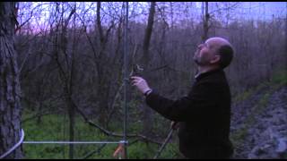 preview picture of video 'Pelee Island Bird Observatory - Part 2 - The Day Begins'