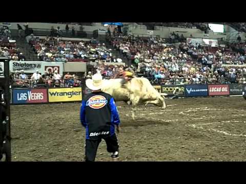 Sean Willingham in Billings 2011