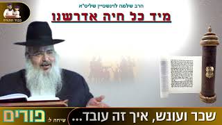 "מיד כל חיה אדרשנו" – הרב שלמה לוינשטיין שליט"א 👈🏻פורים (הרב שלמה לוינשטיין) - התמונה מוצגת ישירות מתוך אתר האינטרנט יוטיוב. זכויות היוצרים בתמונה שייכות ליוצרה. קישור קרדיט למקור התוכן נמצא בתוך דף הסרטון