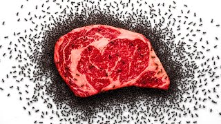 I Gave My Ant Colony Steak