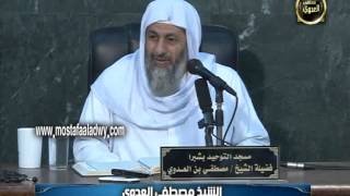 سورة العنكبوت (3) من الاية السادسة والعشرين الى الاية الخامسة والثلاثين