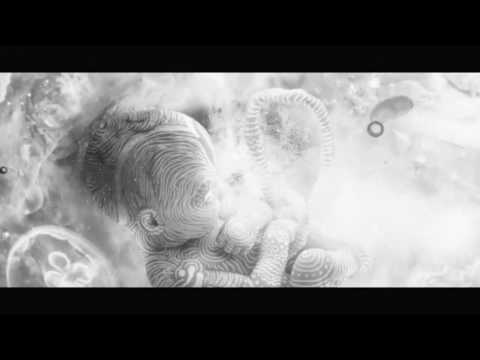 Alan Watts: The Dream of Life [Altyazılı]