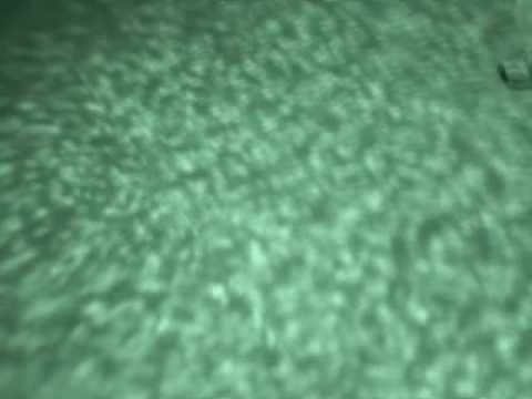 WAVEscape 3D vision system in near-infared